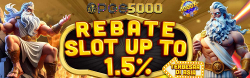 pgs5000-rebate.jpg